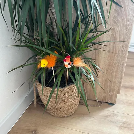 Lomnicka Tatranská Lomnica