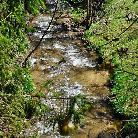 Lomnicka